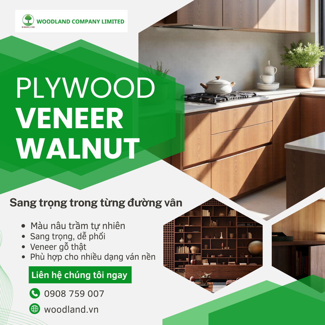 Plywood Covered with Walnut Veneer