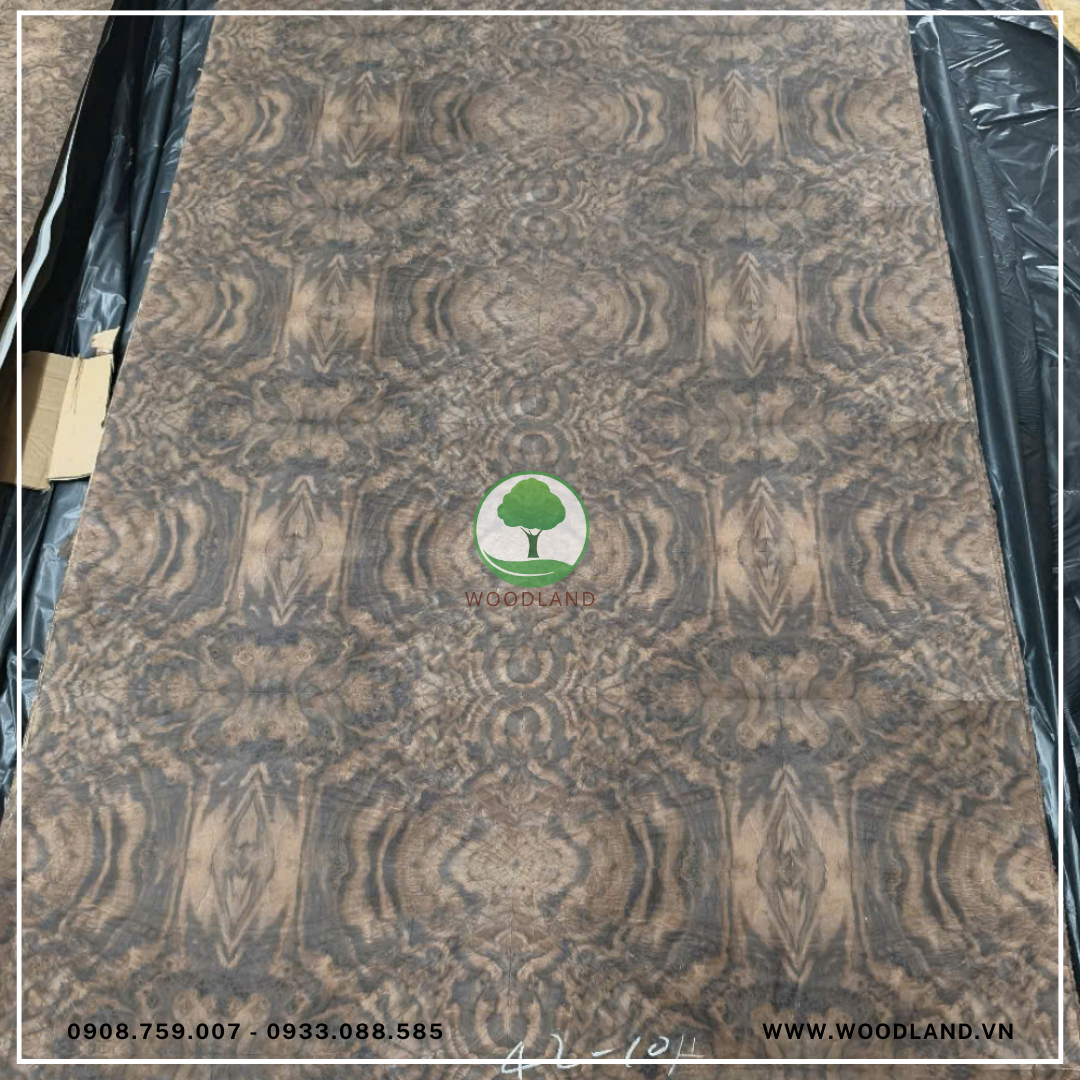 Plywood with Nu Walnut Veneer 3